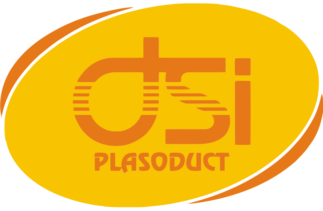 DSI logo
